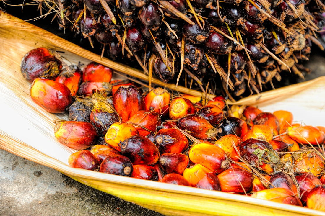 The Beauty Benefits of Red Palm Butter in Skincare Baobab Swirls