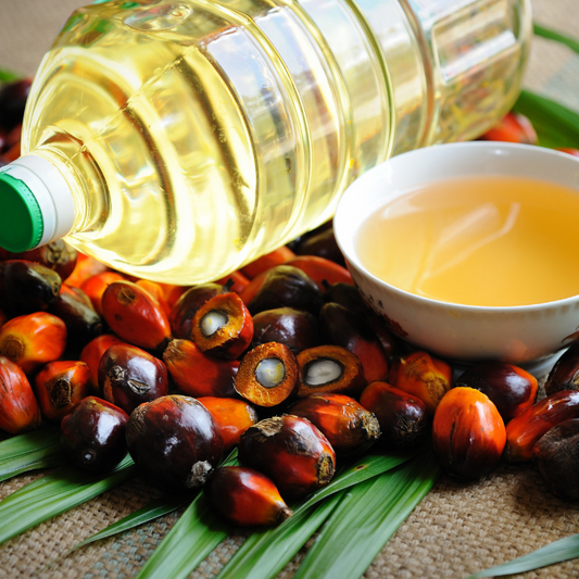 palm oil fruit and bottle of oil,bowl of oil